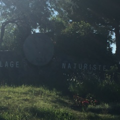 Albert Pierre, 06.09, Toulouse