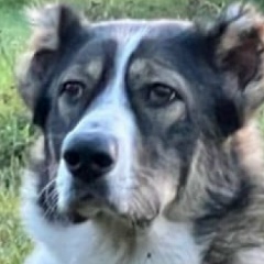 Анна Разинова, 08.12, Санкт-Петербург