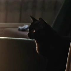 Тимур Магомедов, 14.05, Москва