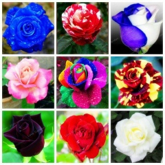 Салима Абдихаева, 03.02, Алматы