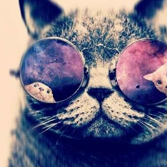 Dana Saruar, 24.07.1995, Шымкент