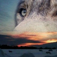 Сержан Насуханов, 27.10.1992, Актау