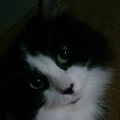 Сергей Колосов, 21.06