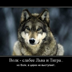 Азамат Мусин, 06.02.1985, Астана