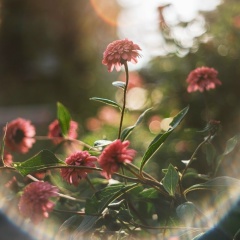 Лейсан Кадырова, 15.04.1986, Москва