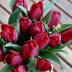 Гулжамал Балментай, 13.12.2001, Кульсары