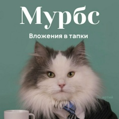 Артур Зарипов, 22.12.1990, Челябинск