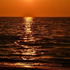 Анатолий Отъезжаев, 22.08.1984, Калининград