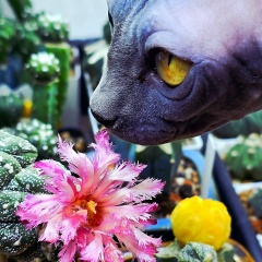 Ирина Шестакова, 20.04.1981, Санкт-Петербург