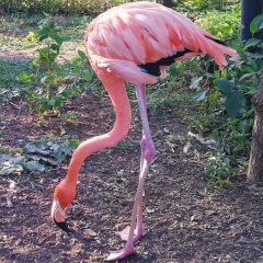 Лилия Хатыпова, 20.05, Нижнекамск