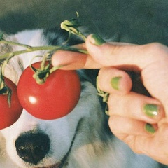 Владислав Романенко, 14.10.1968, Саратов