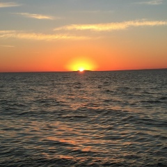 Алишер Мырзабеков, 24.04, Алматы