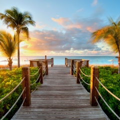 Ольга Самойленко, 24.10.1978, Санкт-Петербург