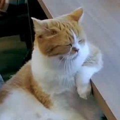 Михаил Романов, 14.06.1984, Москва