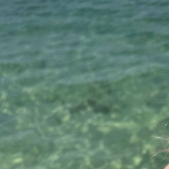 Наталья Лямина, 04.02.1990