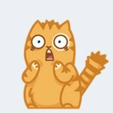 Medet Nugmanov, 01.01.2000, Алматы