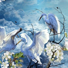 Ivanova Elena, Омск