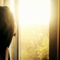 Алексей Богов