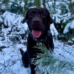 Ваня Копытин, Волгоград