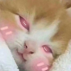 August Walter, 23.03