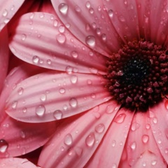 Любаня Кидряева, 04.08.1991, Кузнецк