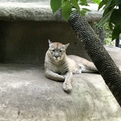 Оленька Куликова, 28.09, Могилёв