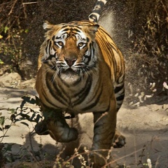 Нарын Султанбаев, 14.07, Алматы