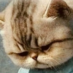 Дмитро Троценко, Краснодар