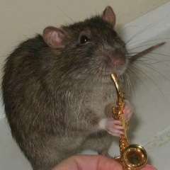 Ян Ли, 30.03.1988