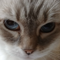 Людмила Птичкина, 11.04.1976, Челябинск