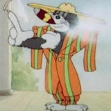 Римидалв Веегрес, 25.05.1986, Санкт-Петербург