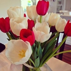 Баирма Шаноева