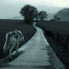 Дима Атаханов, 17.03.1991, Санкт-Петербург