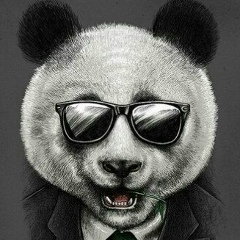 Roma Josanu, 23.02.1993, Дрокия