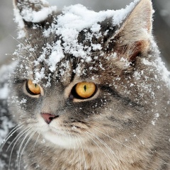 Сергей Пасюков, 12.03, Могилёв