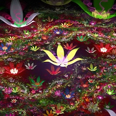 Айгуль Сарбасова