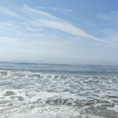 Наталья Ляшенко