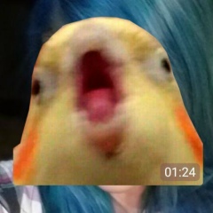 Ксю Morven, 16.12, Москва