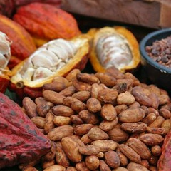 Carlos Araujo, 14.05.1994, Fortaleza