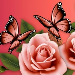 Олеся Ель, 01.01, Санкт-Петербург