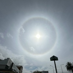 Olga Glinskaya, Москва