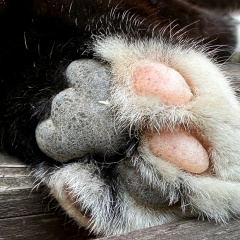 Ирина Безуглова, 27.03, Краснодар