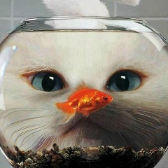 Альбина Хасанова, 22.12