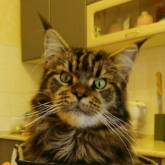 Natasha Вертиева, 15.08.1989, Луганск