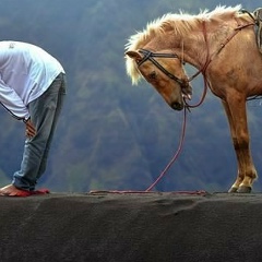 Эрнст Камбаралиев, 05.07, Джалал-Абад