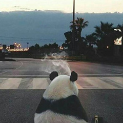 Vinnie Pooh, 23.11.1988, Санкт-Петербург