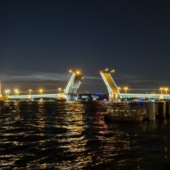 Светлана Ледяева, Санкт-Петербург