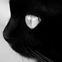 Виктория Падаляк-Шабуня