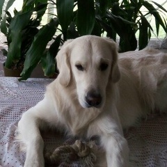 Наталья Черняева, 17.05, Курган