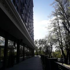 Ольга Ясакова, 01.04